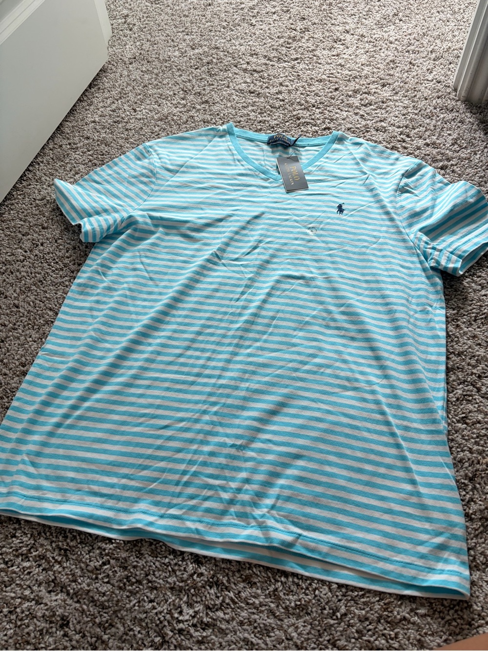 Polo by Ralph Lauren Blue and White Striped V-Neck Tee Shirt